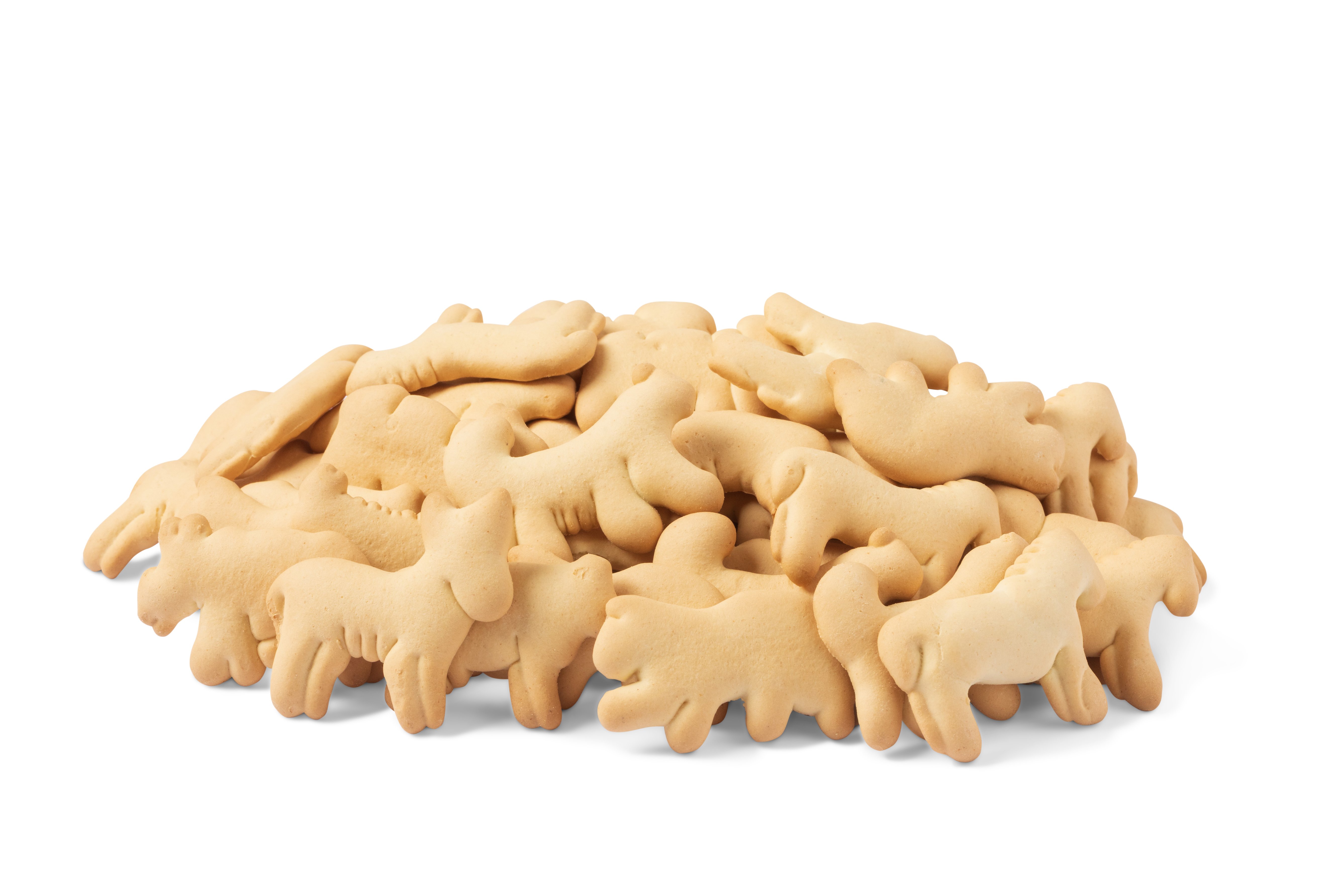 Animal biscuits store